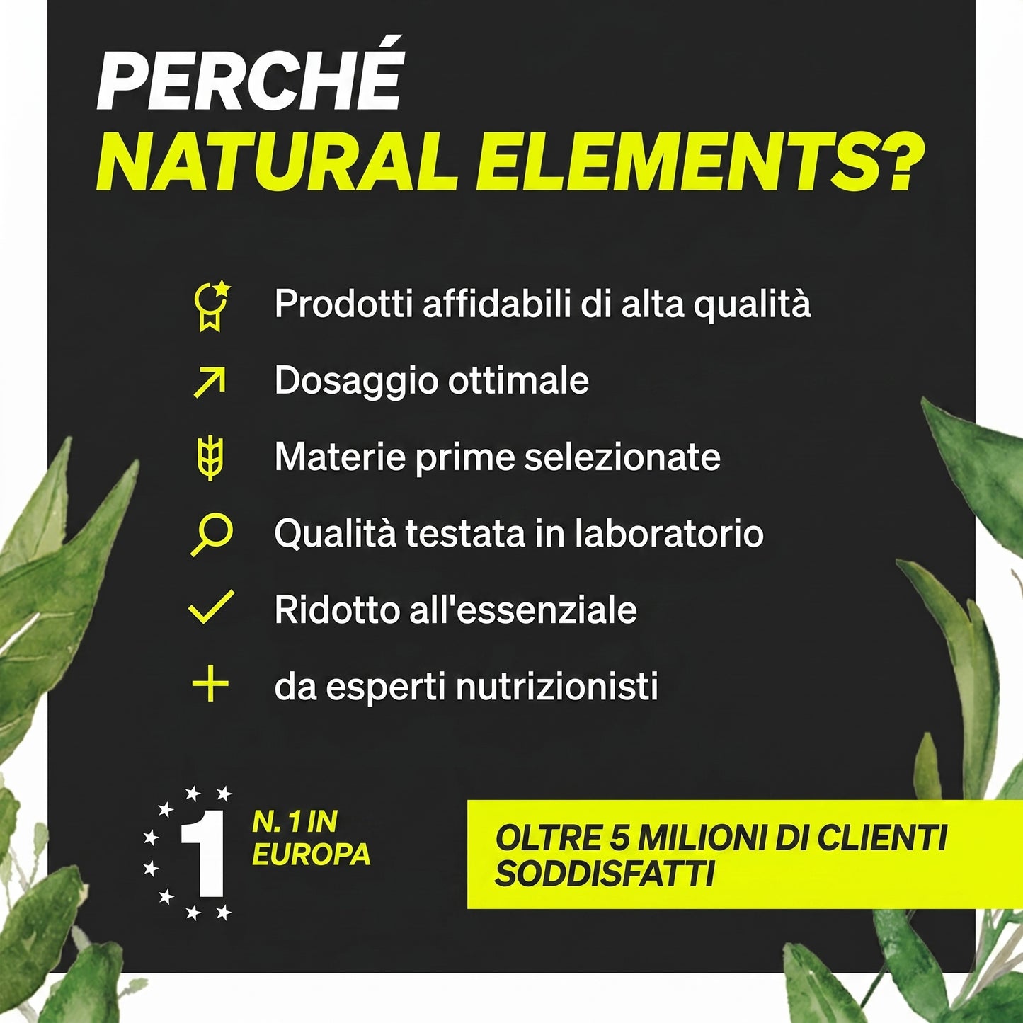Whey Protein Cioccolato 1kg Natural Elements 23g Senza Sucralose 33 Porzioni Bio