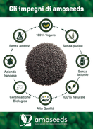 Dettaglio della confezione di Semi di Basilico Bio Amoseeds 500 g
